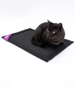 Petrebels Mastermat 60 Katten Krabmat - Zwart - 60 X 40 Cm - Zeer Sterk -Kattenbenodigdheden Winkel 1007x1200 2