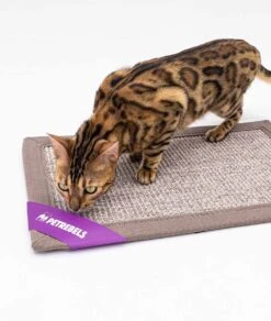 Petrebels Mastermat 60 Katten Krabmat - Cappuccino - 60 X 40 Cm - Zeer Sterk -Kattenbenodigdheden Winkel 1015x1200 3