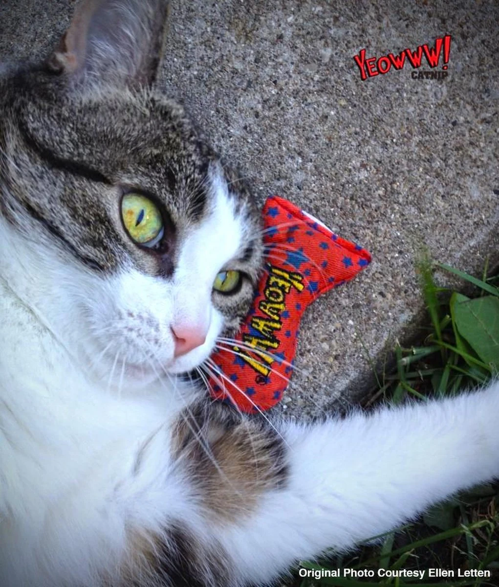 Yeowww! Stinkies Sardientje - Rood Met Sterren - 7.5 Cm - Catnip Kattenkruid ( Kattenspeeltjes ) 2 Yeowww! Stinkies Sardientje - Rood Met Sterren - 7.5 Cm - Catnip Kattenkruid ( Kattenspeeltjes ) - Afbeelding 2