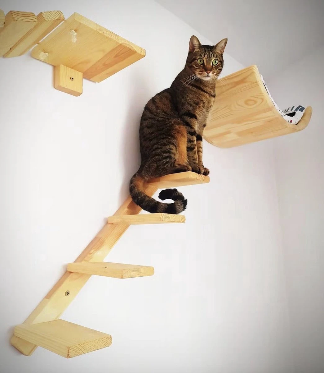 Kattentrap Hout - Linksonder Naar Rechtsboven - Handgemaakte Kattenladder - Katten Klimmuur Klimwand 5 Kattentrap Hout - Linksonder Naar Rechtsboven - Handgemaakte Kattenladder - Katten Klimmuur Klimwand - Afbeelding 5