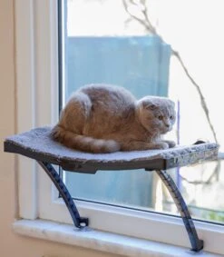 Hobipets - Kattenmand Raam - 5 Zuignappen - Hangmat Kat Raam -Kattenbenodigdheden Winkel 1049x1200 1