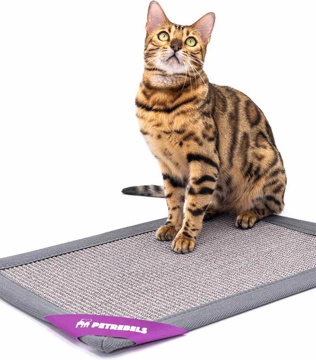 Petrebels Mastermat 60 Katten Krabmat - Grijs - 60 X 40 Cm - Zeer Sterk 8 Petrebels Mastermat 60 Katten Krabmat - Grijs - 60 X 40 Cm - Zeer Sterk - Afbeelding 8