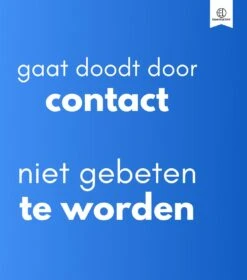 Essential Link Teken- En Vlooienband - Vlooienband Kat – Anti Vlooien – Vlooienmiddel - Tekenband - Diervriendelijk -Kattenbenodigdheden Winkel 1058x1200