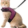 Kattentuigje Met Leiband Riem Kattenharnas Paars Maat M Kat & Kitten - Dieren Kattenriem - Cat Leash - Halsomvang 20 Tot 26cm - Borstomvang 30 Tot 34cm - Zootic®