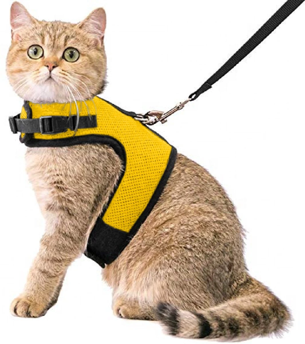 Kattentuigje Met Leiband Riem Kattenharnas Geel Maat M Kat & Kitten - Dieren Kattenriem - Cat Leash - Halsomvang 20 Tot 26cm - Borstomvang 30 Tot 34cm - Zootic® 1 Kattentuigje Met Leiband Riem Kattenharnas Geel Maat M Kat & Kitten - Dieren Kattenriem - Cat Leash - Halsomvang 20 Tot 26cm - Borstomvang 30 Tot 34cm - Zootic®