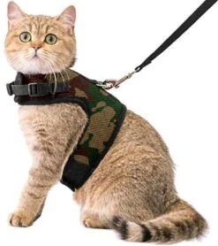 Kattentuigje Met Leiband Riem Kattenharnas Camouflage Maat M Kat & Kitten - Dieren Kattenriem - Cat Leash - Halsomvang 20 Tot 26cm - Borstomvang 30 Tot 34cm - Zootic®