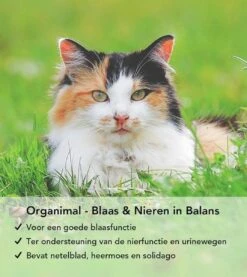 Organimal - Blaas En Nieren In Balans - Kat - O.a. Bij Blaasontsteking En Blaasgruis - 45 Tabletten A 700mg -Kattenbenodigdheden Winkel 1071x1200 1