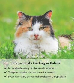 Gedrag In Balans - Kat - O.a. Bij Stress En Angst - 45 Tabletten A 400mg -Kattenbenodigdheden Winkel 1071x1200