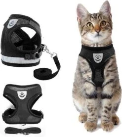 Merkloos Kattentuigje Met Looplijn | Zwart Kattenharnas| Easy Step In | Kattenriem | Kattenlijn | Kattentuig | Maat M 5 Merkloos Kattentuigje Met Looplijn | Zwart Kattenharnas| Easy Step In | Kattenriem | Kattenlijn | Kattentuig | Maat M -Kattenbenodigdheden Winkel 1071x1200 6