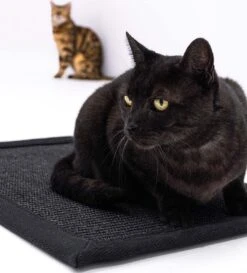 Petrebels Mastermat 80 Katten Krabmat - Zwart - 80 X 50 Cm - Zeer Sterk -Kattenbenodigdheden Winkel 1086x1200 6