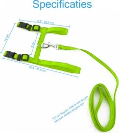 Kattentuigje Met Looplijn Kattenharnas Kittentuigje Kattenriem Met Looplijn Kat Kitten Tuigje Verstelbaar - Groen 8 Kattentuigje Met Looplijn Kattenharnas Kittentuigje Kattenriem Met Looplijn Kat Kitten Tuigje Verstelbaar - Groen -Kattenbenodigdheden Winkel 1090x1200