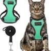 Kattentuigje Met Leiband Riem Kattenharnas Groen Maat L Kat & Kitten - Dieren Kattenriem - Cat Leash - Halsomvang 24 Tot 33cm - Borstomvang 36 Tot 41cm - Zootic®