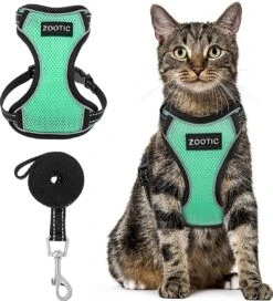 Kattentuigje Met Leiband Riem Kattenharnas Groen Maat L Kat & Kitten - Dieren Kattenriem - Cat Leash - Halsomvang 24 Tot 33cm - Borstomvang 36 Tot 41cm - Zootic®