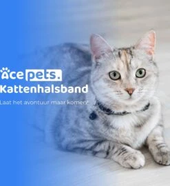 ACE Pets Reflecterende Kattenhalsband Met Veiligheidssluiting – Halsband Kat & Kitten - Met Adreskoker - Kittenhalsband & Kattenbandje Met Belletje - Geschikt Voor Apple Airtag - Zwart -Kattenbenodigdheden Winkel 1096x1200 3