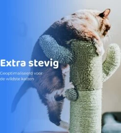 ACE Pets Reflecterende Kattenhalsband Met Veiligheidssluiting – Halsband Kat & Kitten - Met Adreskoker - Kittenhalsband & Kattenbandje Met Belletje - Zwart -Kattenbenodigdheden Winkel 1099x1200 5