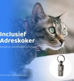 ACE Pets Reflecterende Kattenhalsband Met Veiligheidssluiting – Halsband Kat & Kitten - Met Adreskoker - Kittenhalsband & Kattenbandje Met Belletje - Zwart -Kattenbenodigdheden Winkel 1099x1200 6