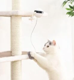 Merkloos Kattenspeelgoed - Katten Speelgoed - Katten Speeltje - Katten Bal - Katten - Kattenhengel - Kitten Speelgoed - Kattenspeeltjes - Elektrische - Muis - Automatische Hengel - Bal - Poes - Katten - Prooi - Kat - Poesjes - Interactief Kattenspeelgoed -Kattenbenodigdheden Winkel 1105x1200 1