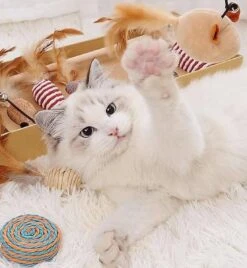 GIZMO Luxe Kattenspeeltjes Set - 7 Speeltjes - Interactieve Kattenhengel, Kattenspeelgoed & Speelmuisjes - Kitten Speeltjes 15 GIZMO Luxe Kattenspeeltjes Set - 7 Speeltjes - Interactieve Kattenhengel, Kattenspeelgoed & Speelmuisjes - Kitten Speeltjes -Kattenbenodigdheden Winkel 1108x1200 1