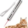 Laserpen - Kattenspeeltjes - Zaklamp - Kat - Laser - Kattenspeelgoed - RVS Opbergblikje