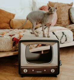 District 70 TELLY - Retro TV Krabmeubel - Instagrammable Kartonnen TV Voor Katten - 39 X 27 X 37 Cm 16 District 70 TELLY - Retro TV Krabmeubel - Instagrammable Kartonnen TV Voor Katten - 39 X 27 X 37 Cm -Kattenbenodigdheden Winkel 1112x1200 1