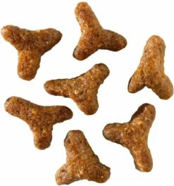 Smolke Kitten 4 Kg - Kat -Kattenbenodigdheden Winkel 1121x1200 2