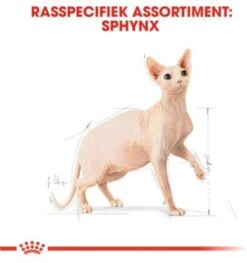 Royal Canin Sphynx Adult - Kattenvoer - 10 Kg -Kattenbenodigdheden Winkel 1126x1200 1