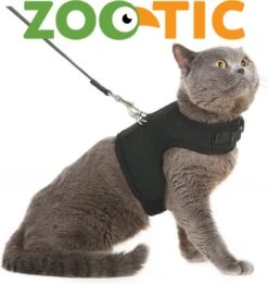 Kattentuigje Met Leiband Riem Kattenharnas Paars Maat M Kat & Kitten - Dieren Kattenriem - Cat Leash - Halsomvang 20 Tot 26cm - Borstomvang 30 Tot 34cm - Zootic® 17 Kattentuigje Met Leiband Riem Kattenharnas Paars Maat M Kat & Kitten - Dieren Kattenriem - Cat Leash - Halsomvang 20 Tot 26cm - Borstomvang 30 Tot 34cm - Zootic® -Kattenbenodigdheden Winkel 1135x1200 6