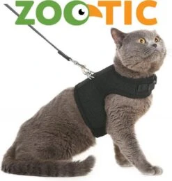Zootic Kattentuigje Met Leiband Riem Kattenharnas Zwart Maat M Kat & Kitten - Halsomvang 20 Tot 26cm - Borstomvang 30 Tot 34cm 10 Zootic Kattentuigje Met Leiband Riem Kattenharnas Zwart Maat M Kat & Kitten - Halsomvang 20 Tot 26cm - Borstomvang 30 Tot 34cm -Kattenbenodigdheden Winkel 1135x1200 9