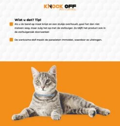 Knock Off Vlooien-tekenband – 100% Natuurlijke Vlooienbestrijding - Zonder Schadelijke Pesticiden Of Gif – Effectief Tot 4 Maanden – Nederlands- En Franstalige Handleiding – Regen- En Waterbestendig - Geschikt Voor Katten – 35 Cm -Kattenbenodigdheden Winkel 1139x1200 1