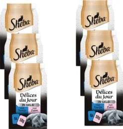 Sheba - Delices Du Jour - Katten Natvoer - In Gelei - Zalm & Tonijn - 36 X 50g -Kattenbenodigdheden Winkel 1140x1200