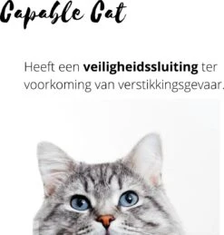 Capable Cat Vlooienband Kat | Vlooien | Luizen | Teken | Mijten | 8 Maanden Bescherming | Katten -Kattenbenodigdheden Winkel 1143x1200 1