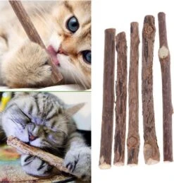 Matatabi Kauwstaafjes Voor Katten - 5x Matabi Stokjes - Kattenspeelgoed - 100% Natuurlijke Sticks - Plantaardig - Silver Vine Kauwstaven Voor Kittens - Kattenkruid Effect - Gebitsverzorging - 5 Stuks Vardaan Kauwstaven Voor Katten - XS - 11 Cm -Kattenbenodigdheden Winkel 1143x1200 2