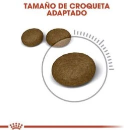 Royal Canin Hair & Skin Care - Kattenvoer - 2 Kg -Kattenbenodigdheden Winkel 1146x1200 1