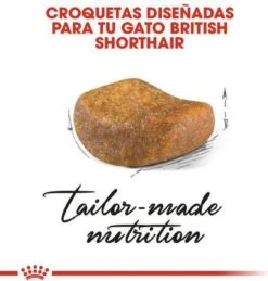 Royal Canin British Shorthair Adult - Kattenvoer - 2 Kg 18 Royal Canin British Shorthair Adult - Kattenvoer - 2 Kg -Kattenbenodigdheden Winkel 1146x1200 3