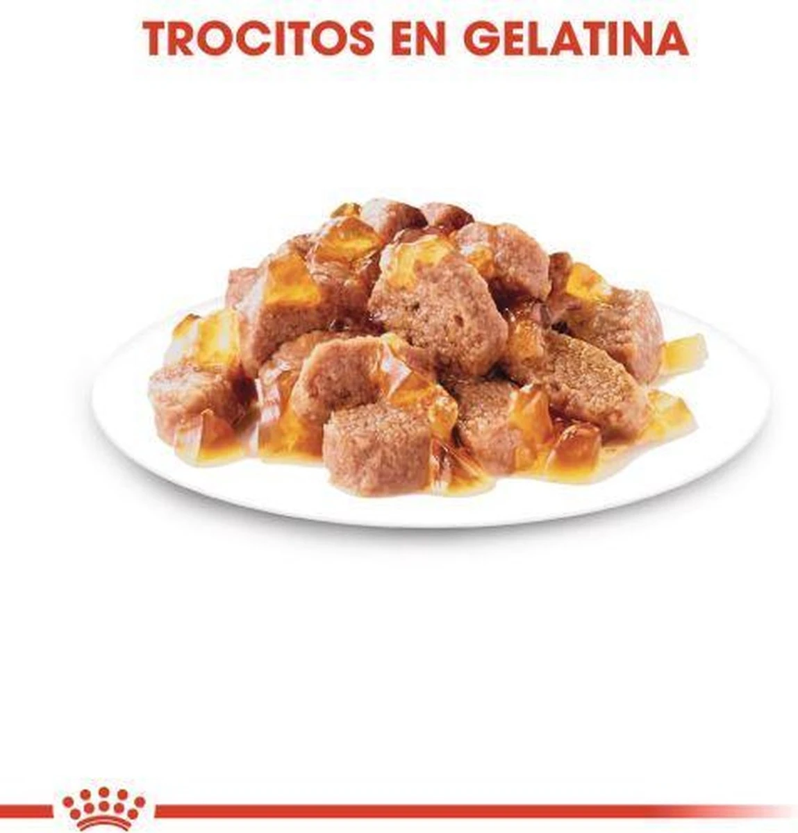 Royal Canin Sterilised In Jelly - Kattenvoer - 1020 G 5 Royal Canin Sterilised In Jelly - Kattenvoer - 1020 G - Afbeelding 5