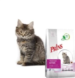 Prins VitalCare Kitten 10 Kg 10 Prins VitalCare Kitten 10 Kg -Kattenbenodigdheden Winkel 1153x1200 1