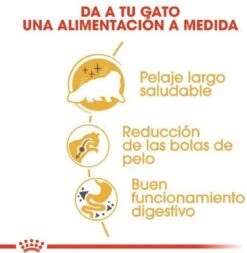 Royal Canin Persian Adult - Kattenvoer - 2 Kg -Kattenbenodigdheden Winkel 1171x1200 2