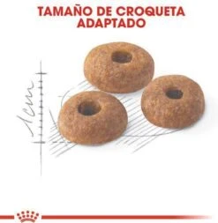 Royal Canin Fit 32 - Kattenvoer - 10 Kg -Kattenbenodigdheden Winkel 1173x1200 1