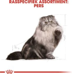 Royal Canin Persian Adult - Kattenvoer - 2 Kg -Kattenbenodigdheden Winkel 1178x1200 3