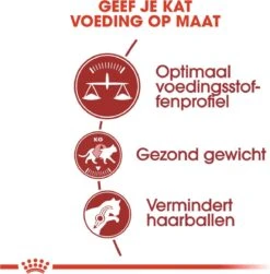 Royal Canin Fit 32 - Kattenvoer - 10 Kg -Kattenbenodigdheden Winkel 1179x1200 10