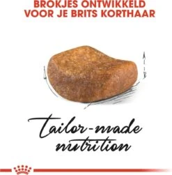 Royal Canin British Shorthair Adult - Kattenvoer - 2 Kg 22 Royal Canin British Shorthair Adult - Kattenvoer - 2 Kg -Kattenbenodigdheden Winkel 1179x1200 12