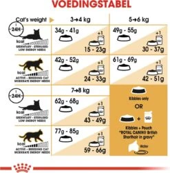 Royal Canin British Shorthair Adult - Kattenvoer - 2 Kg 23 Royal Canin British Shorthair Adult - Kattenvoer - 2 Kg -Kattenbenodigdheden Winkel 1179x1200 13