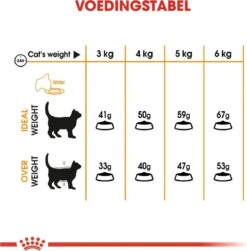Royal Canin Hair & Skin Care - Kattenvoer - 2 Kg -Kattenbenodigdheden Winkel 1179x1200 2