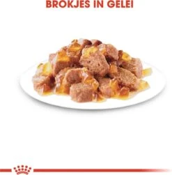 Royal Canin Sterilised In Jelly - Kattenvoer - 1020 G 22 Royal Canin Sterilised In Jelly - Kattenvoer - 1020 G -Kattenbenodigdheden Winkel 1179x1200 5