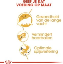 Royal Canin Persian Adult - Kattenvoer - 2 Kg -Kattenbenodigdheden Winkel 1179x1200 8