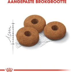 Royal Canin Appetite Control Care - Kattenvoer - 2 Kg 18 Royal Canin Appetite Control Care - Kattenvoer - 2 Kg -Kattenbenodigdheden Winkel 1184x1200 1