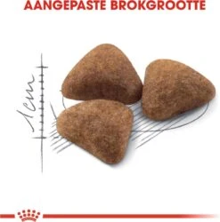 Royal Canin Indoor 27 - Kattenvoer - 4 Kg 17 Royal Canin Indoor 27 - Kattenvoer - 4 Kg -Kattenbenodigdheden Winkel 1185x1200 1