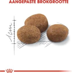 Royal Canin Sterilised 7+ - Kattenvoer - 10 Kg -Kattenbenodigdheden Winkel 1185x1200