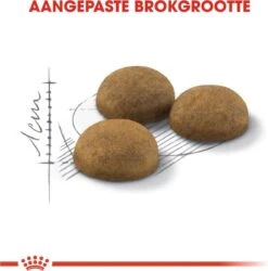 Royal Canin Indoor Long Hair - Kattenvoer - 10 Kg -Kattenbenodigdheden Winkel 1186x1200 5