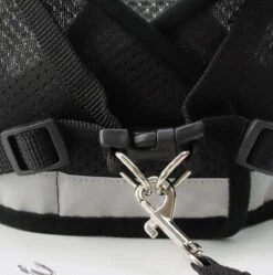 Merkloos Kittentuigje - Kattentuigje Reflecterend - Kattenharnas - Kattentuig Met Looplijn - Zwart - Maat XS 10 Merkloos Kittentuigje - Kattentuigje Reflecterend - Kattenharnas - Kattentuig Met Looplijn - Zwart - Maat XS -Kattenbenodigdheden Winkel 1188x1200 16